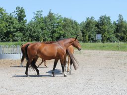 img_3318_web